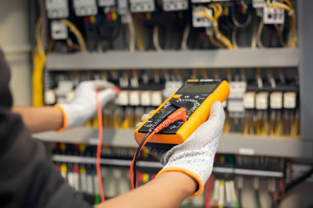 Best Electrical Panel Upgrades  in Dunsmuir, CA